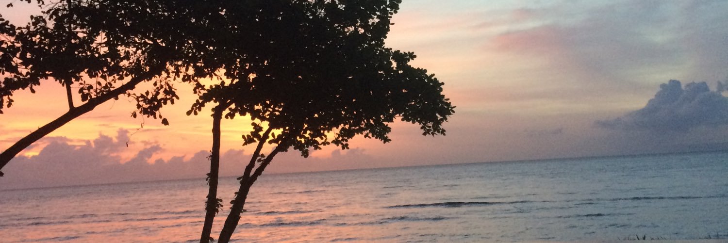 ninacioni's profile banner image