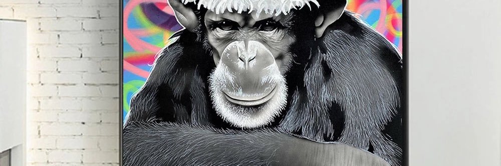 MonkyPolls's profile banner image