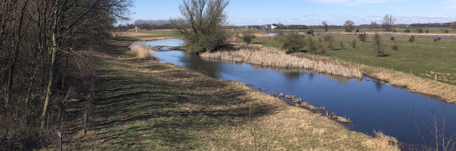 Belinda Elfrink banner