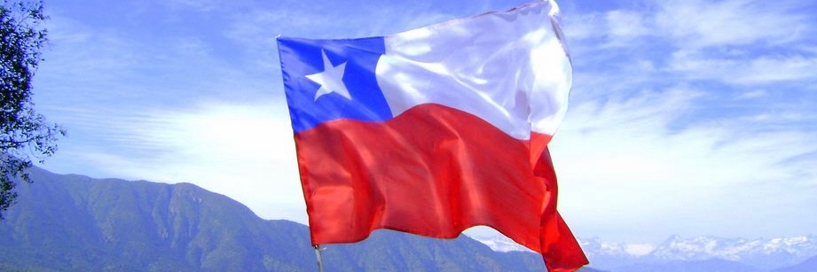 Ricardo Pinninghoff banner