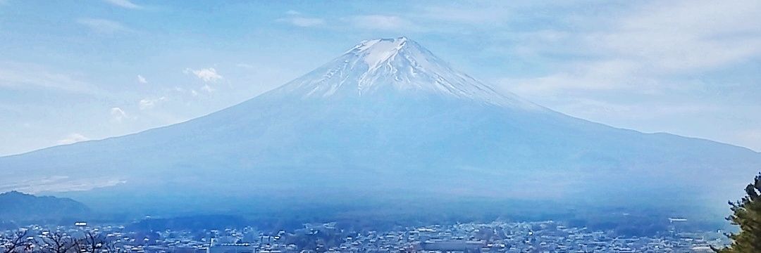larvaXzax's profile banner image