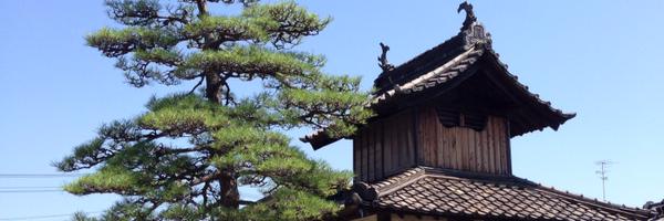 co_checkmate Profile Banner