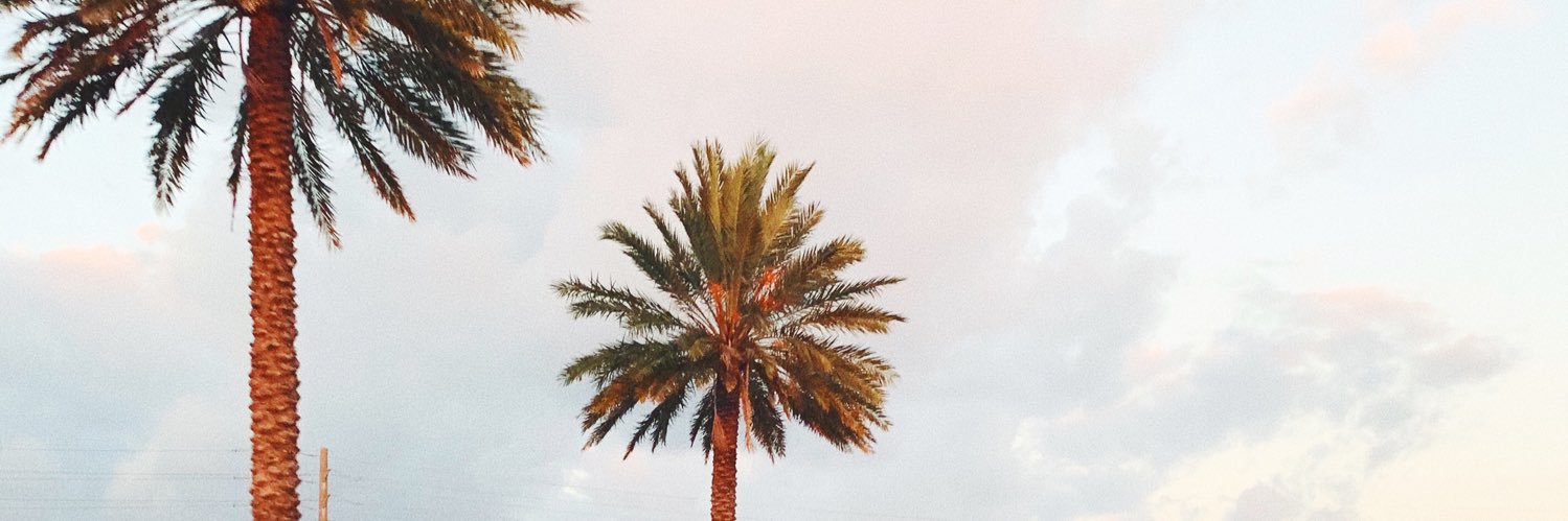 deannabova's profile banner image