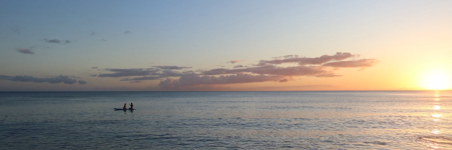 lhow22's profile banner image