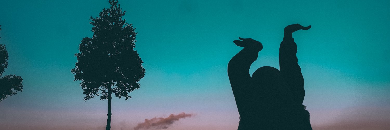 arumJY's profile banner image