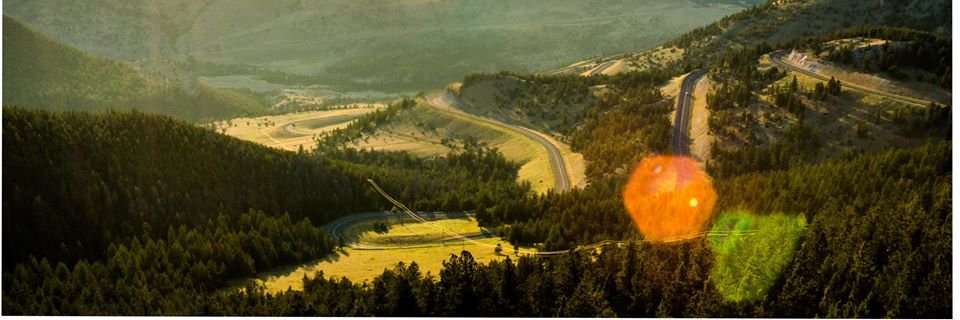 Pinqitales's profile banner image