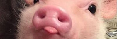 mistk4_'s profile banner image