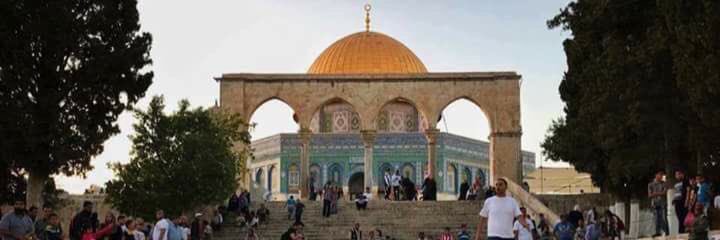 yahyaalbusafi's profile banner image