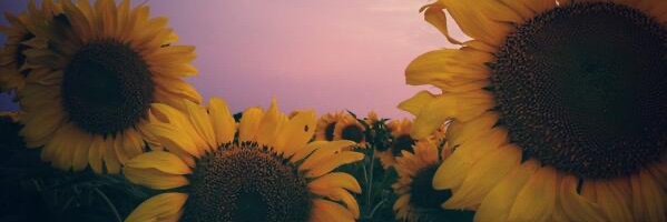katychap_'s profile banner image