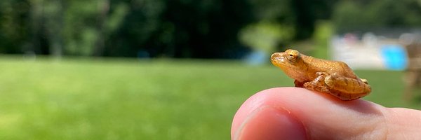 NEPARC Profile Banner