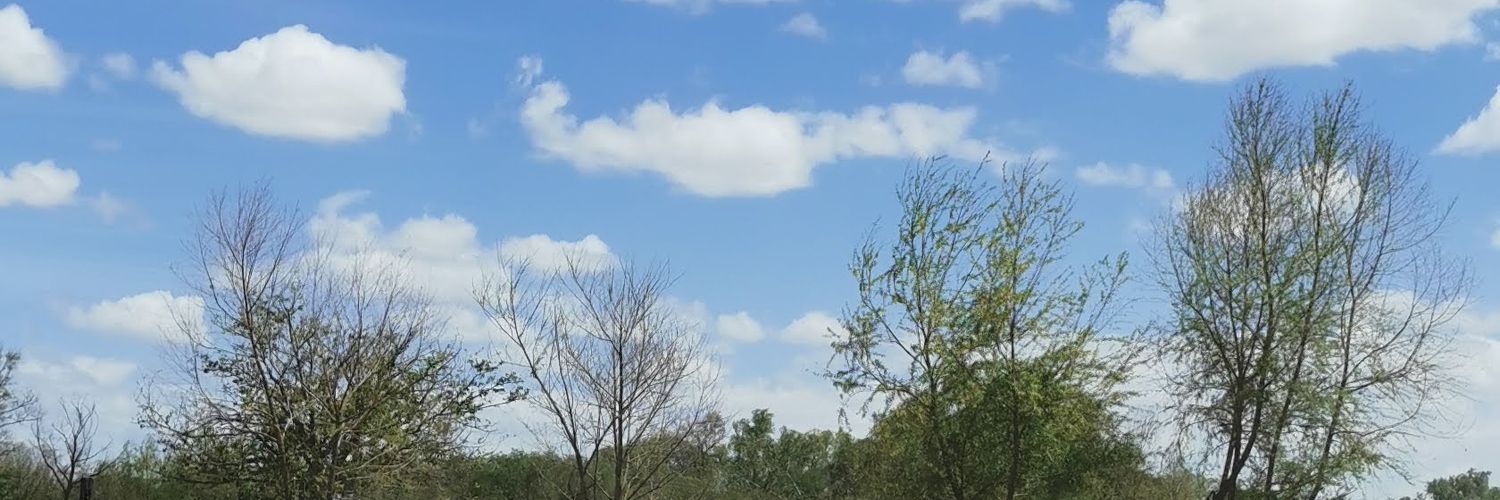 Mayems's profile banner image