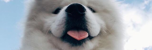 jackty1er's profile banner image