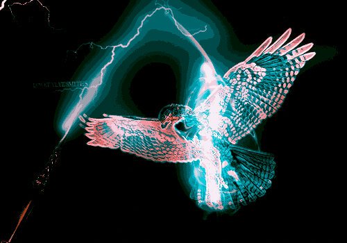 LinggMmclyster's profile banner image