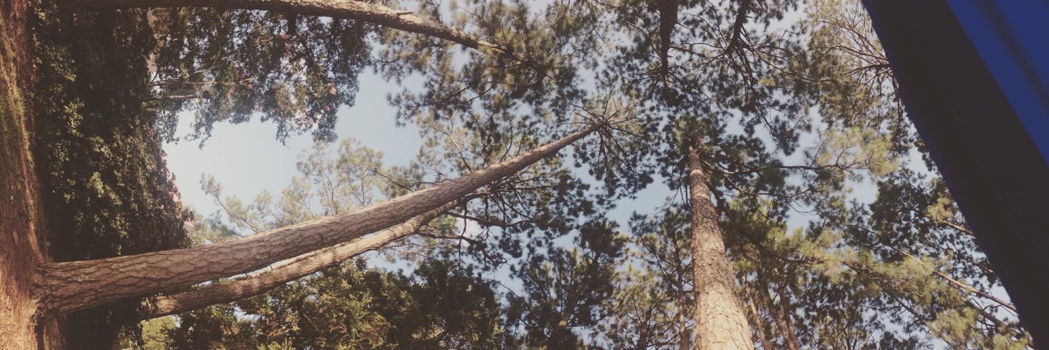 karraho's profile banner image