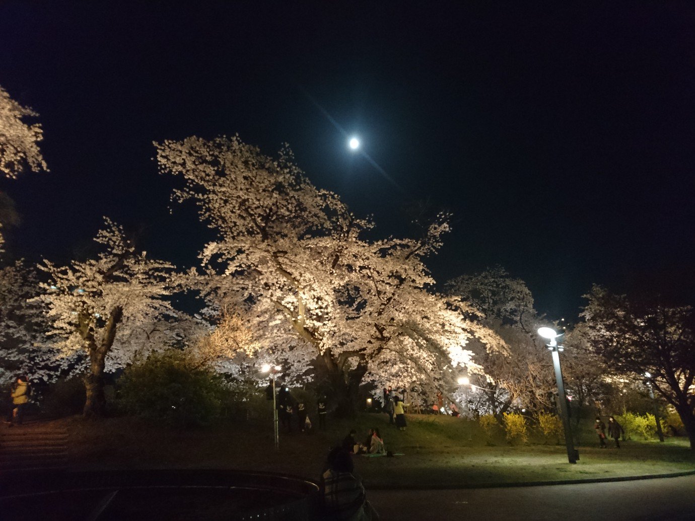 b_hiderou's profile banner image