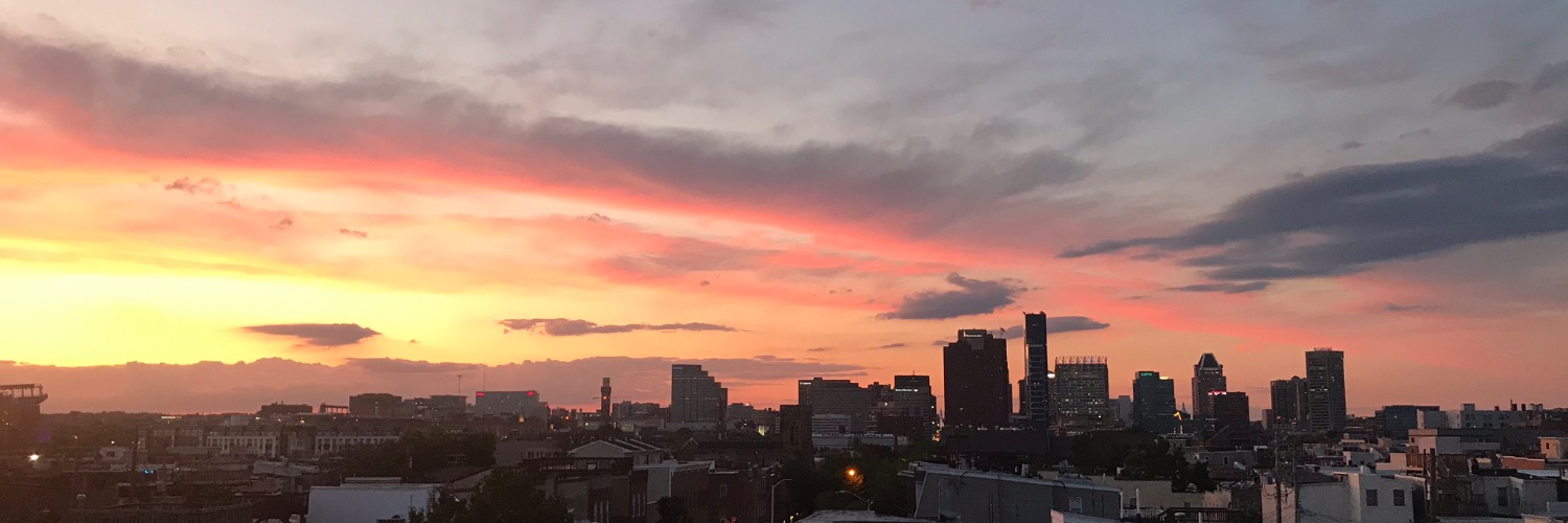 Libby Solomon banner