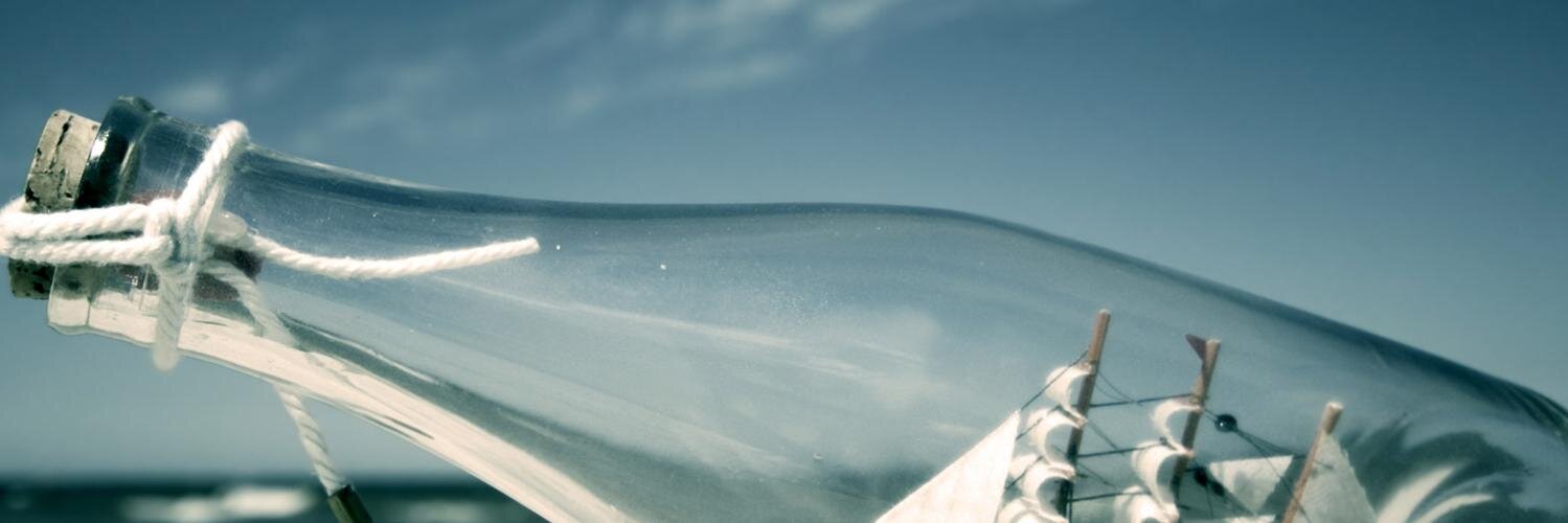 KiwiBean2's profile banner image