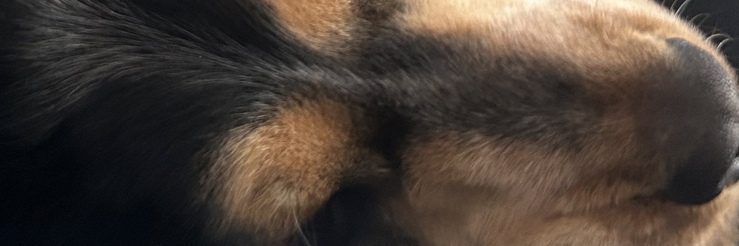 123mccomish's profile banner image