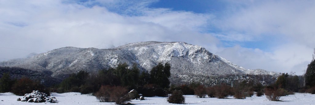 ALVAROGARRIDOV's profile banner image