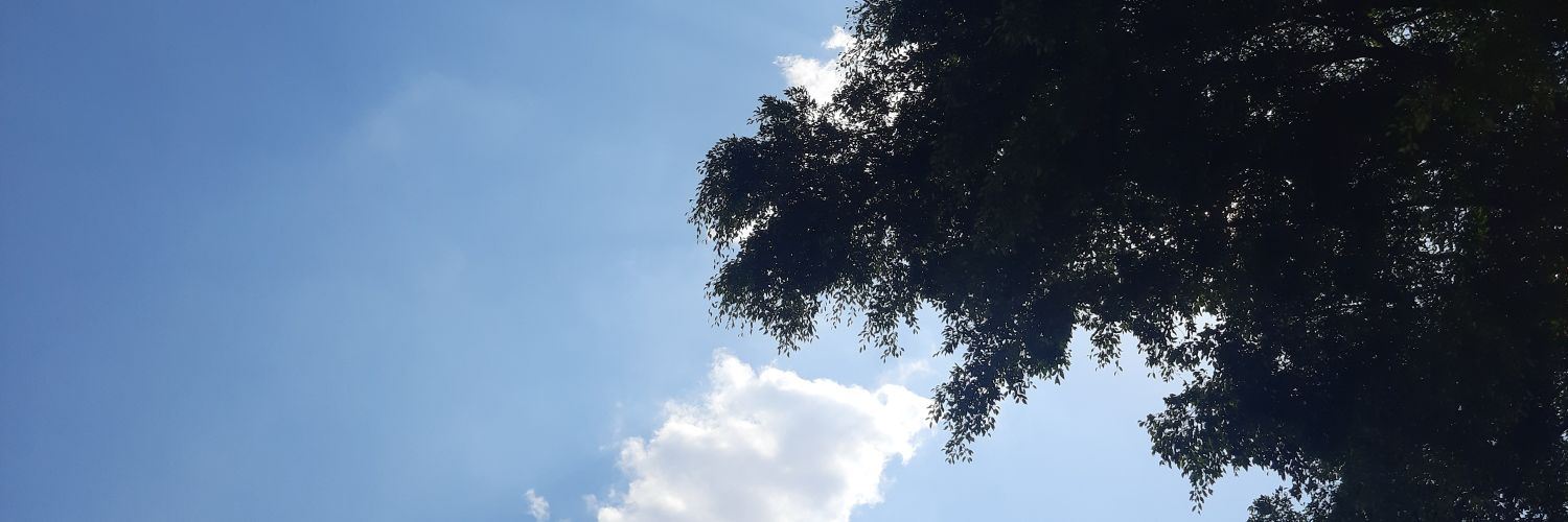 mnhamzahs's profile banner image