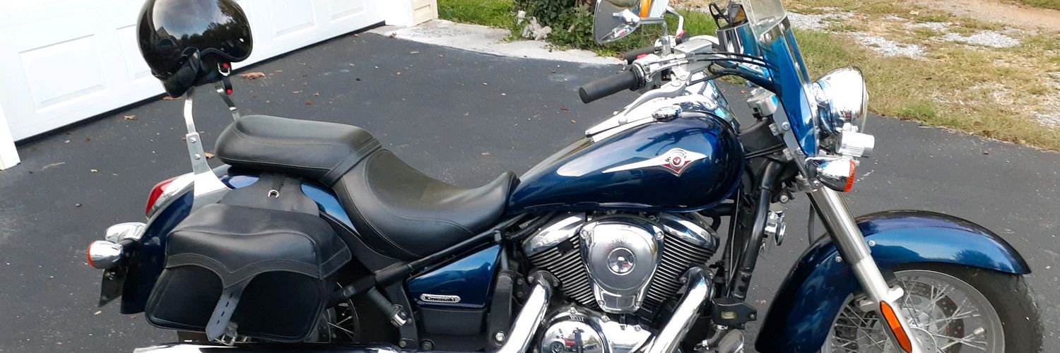 Virginia Rose 🌹 banner