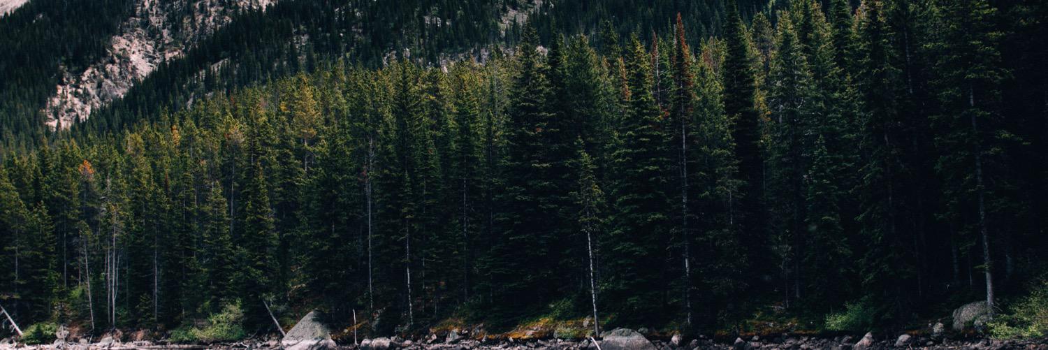 CameronDeMars's profile banner image
