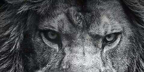 a_mfranco's profile banner image