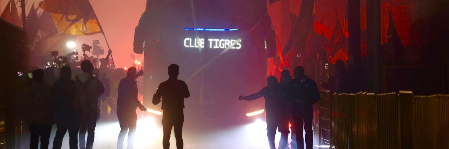 de tigres de verdad banner