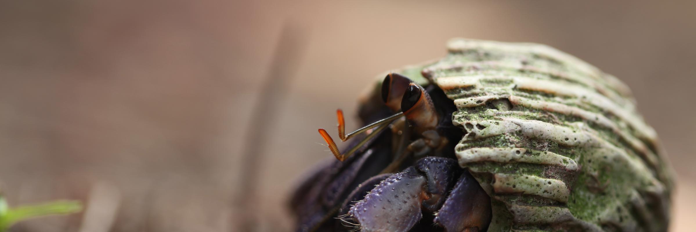 gril ‎ ‎ ‎ ‎ ‎ ‎ ‎ ‎ ‎ ‎ ‎ ‎ ‎ ‎ ‎ ‎ ‎ ‎ ‎ ‎ 🐙🍳 banner