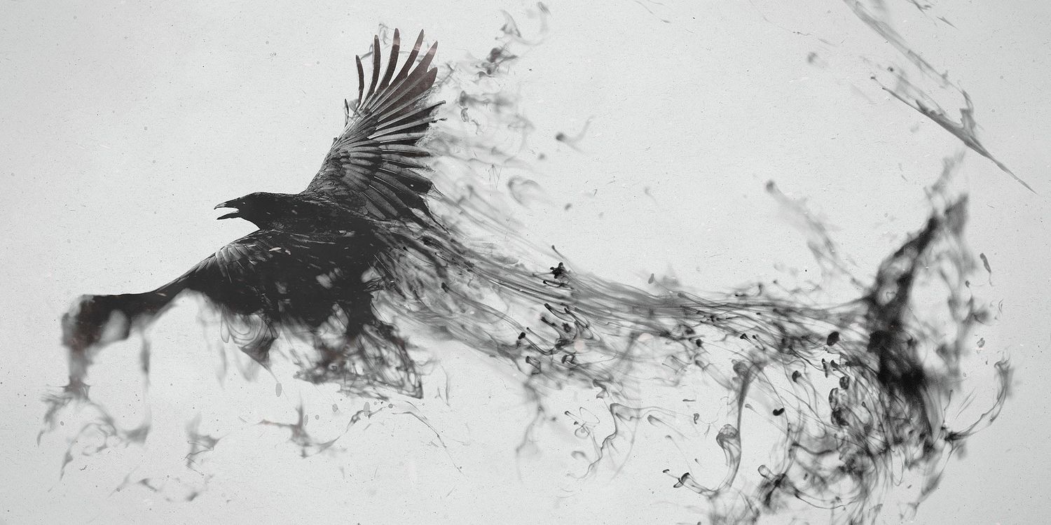 DrinkyRaven's profile banner image