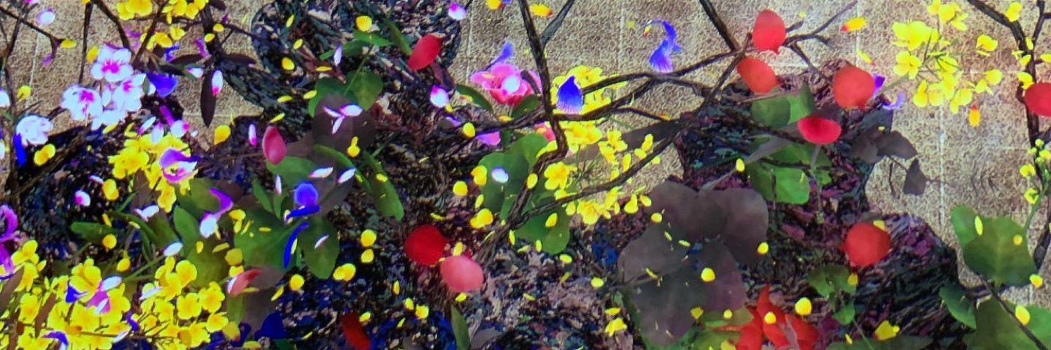 till_2641's profile banner image