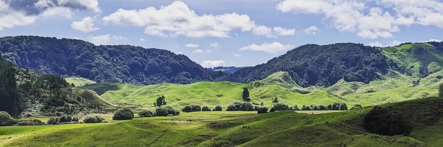 Jennifer Abella banner