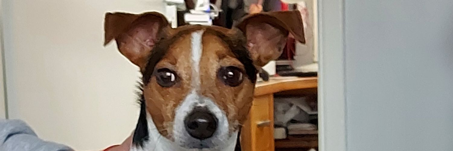 itsyditsyl's profile banner image