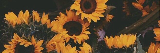 kimwhitee17's profile banner image