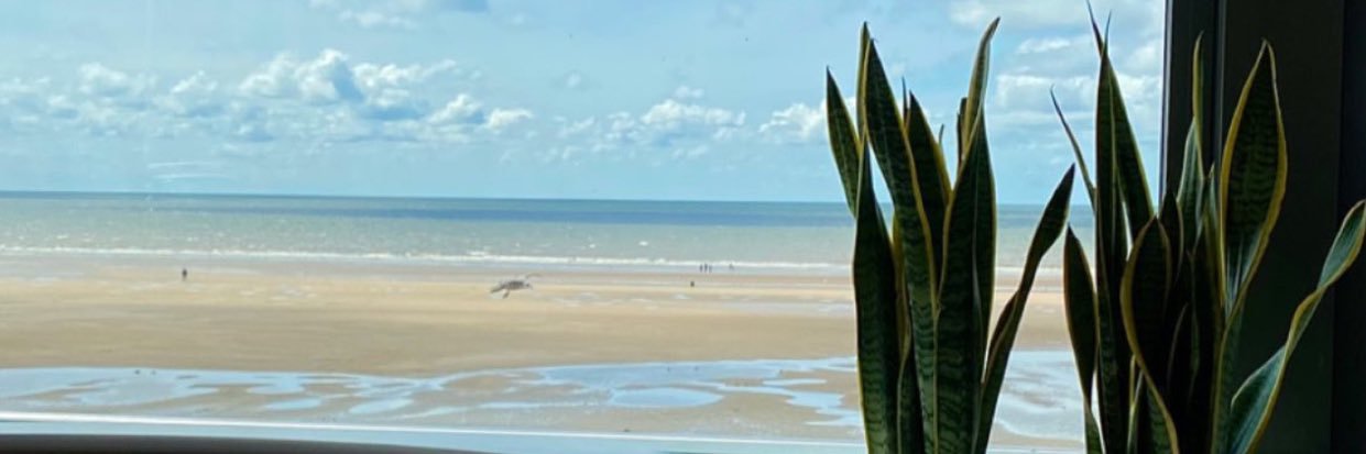 Beach House banner