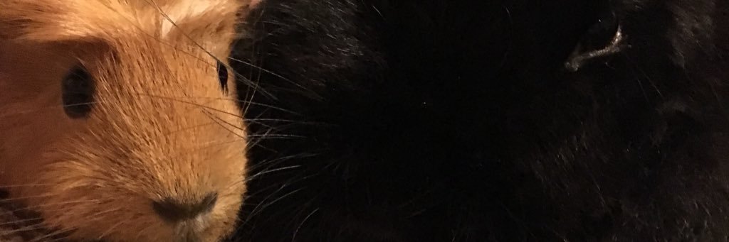EmmaTougher1's profile banner image