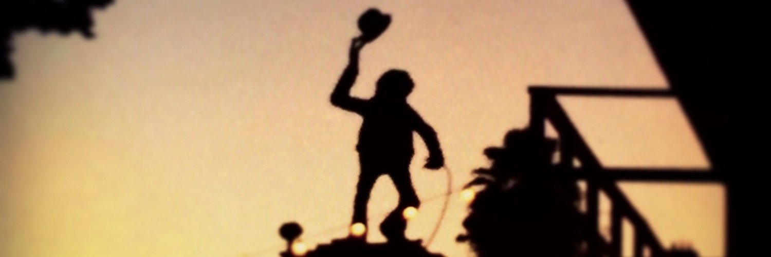 EBednarsh's profile banner image