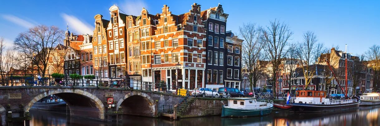 dr.lieberman 🇳🇱 banner
