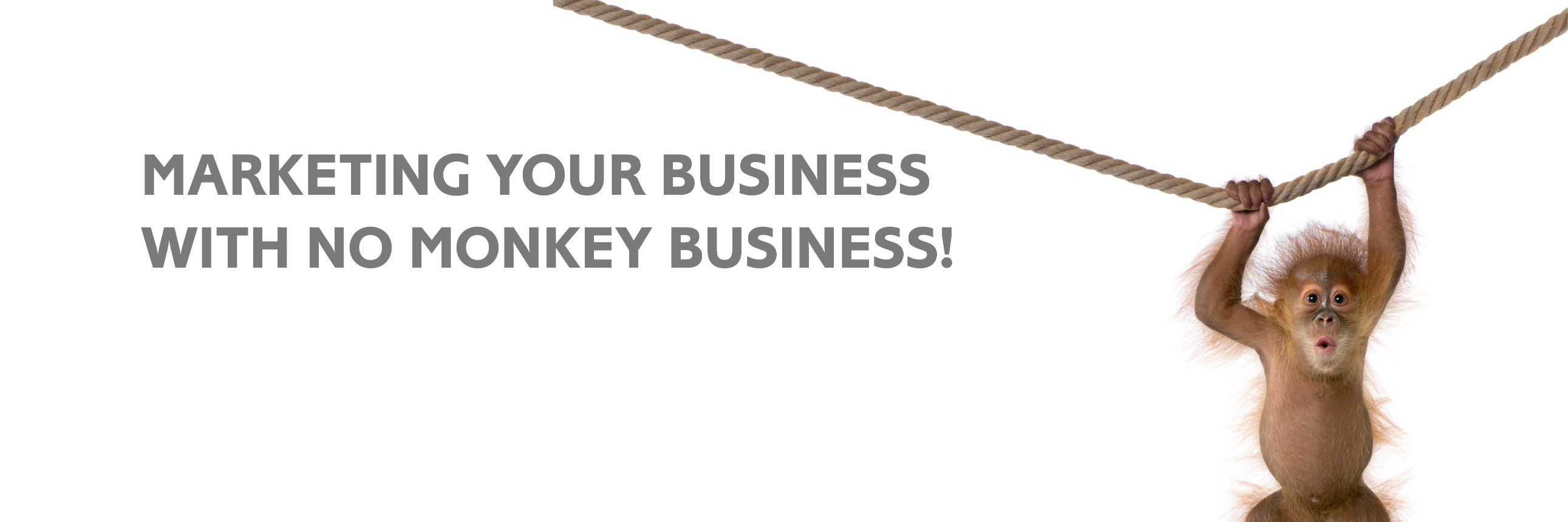 BareBonesMarketing banner