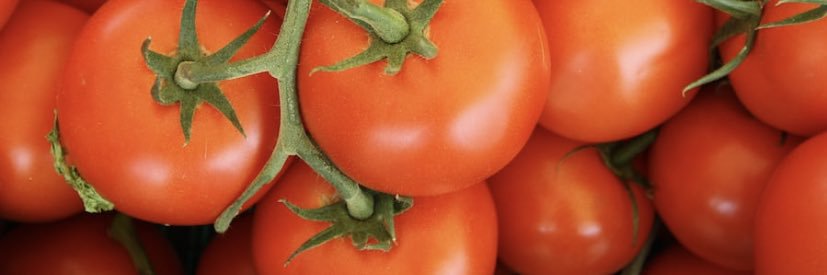 Caroline Pickens banner