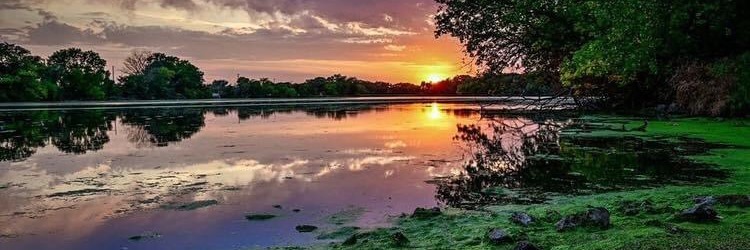 ❦ Oopsie ❦ banner