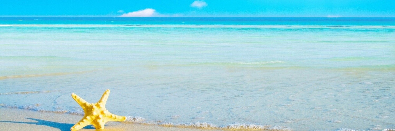 angelamnovoa's profile banner image
