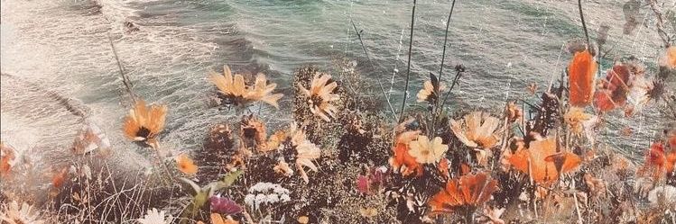 bidusunur_'s profile banner image