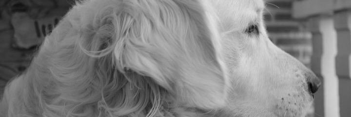 aitanaE2's profile banner image