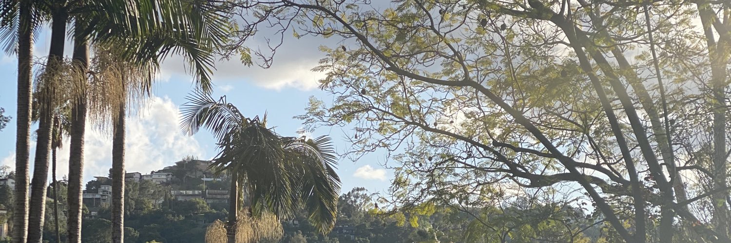 ali_velas's profile banner image