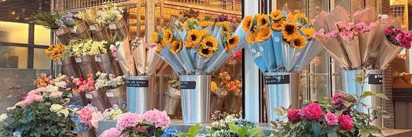 sengunku Profile Banner