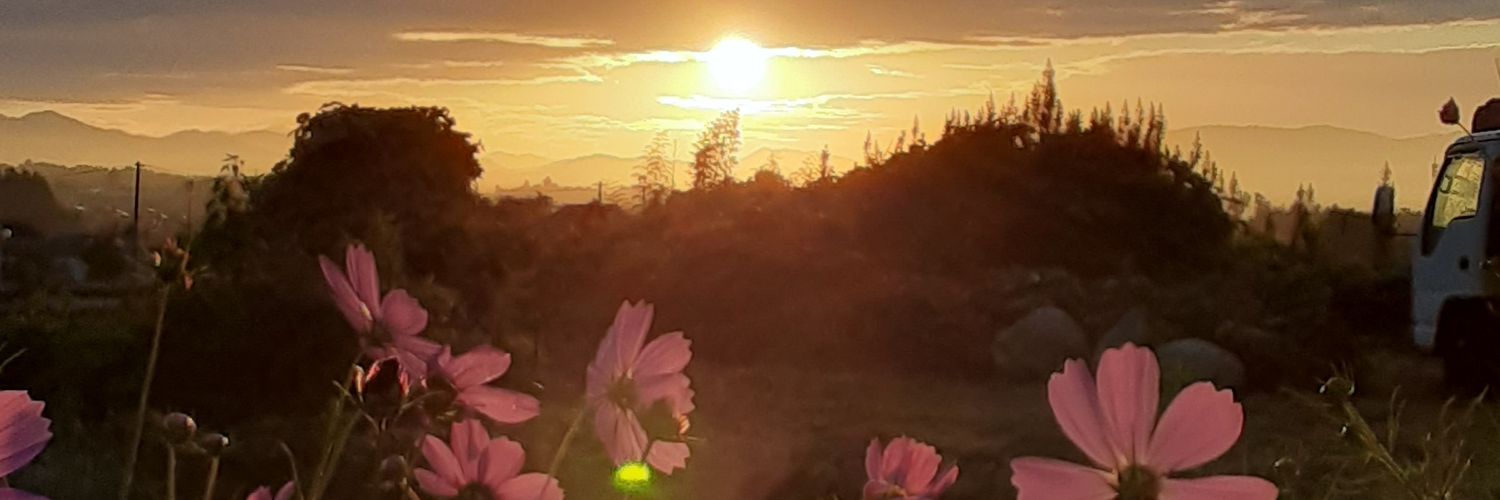 surimaki's profile banner image