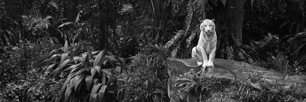 annabuduson's profile banner image