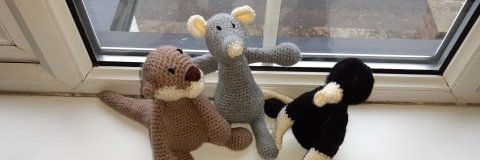 Brook Howells banner