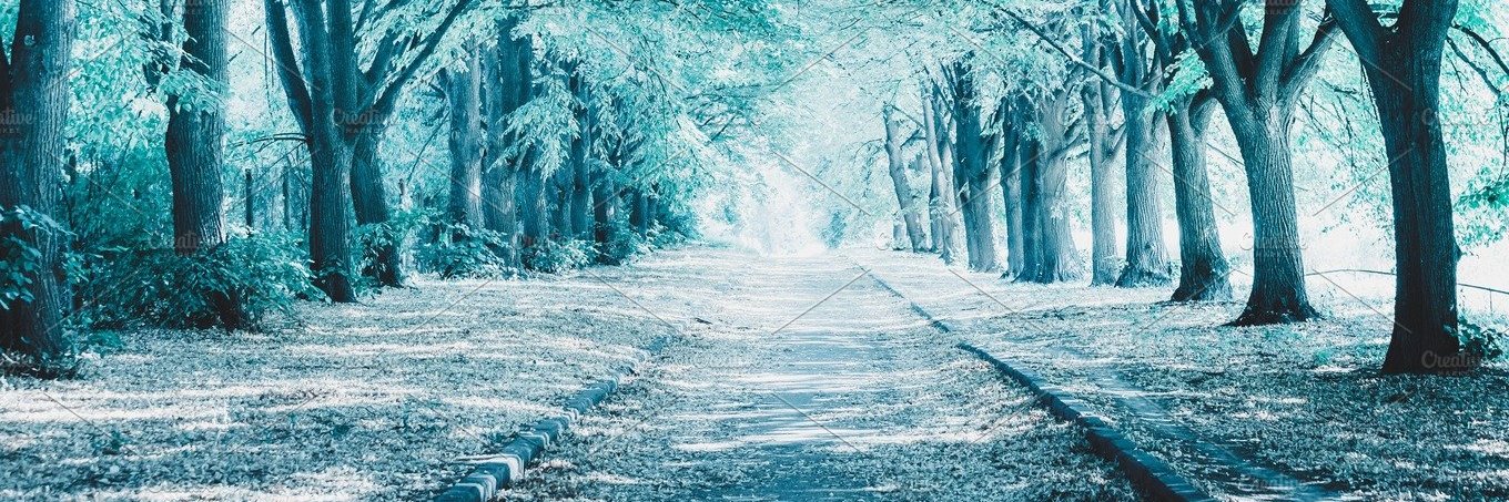 ken_sammarie's profile banner image